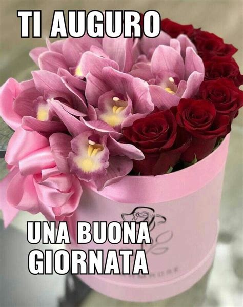 buona giornata gif|buongiorno immagini bellissime.